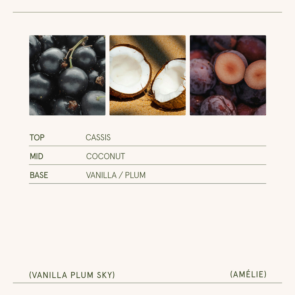 Amélie – Vanilla Plum Sky 11oz Candle