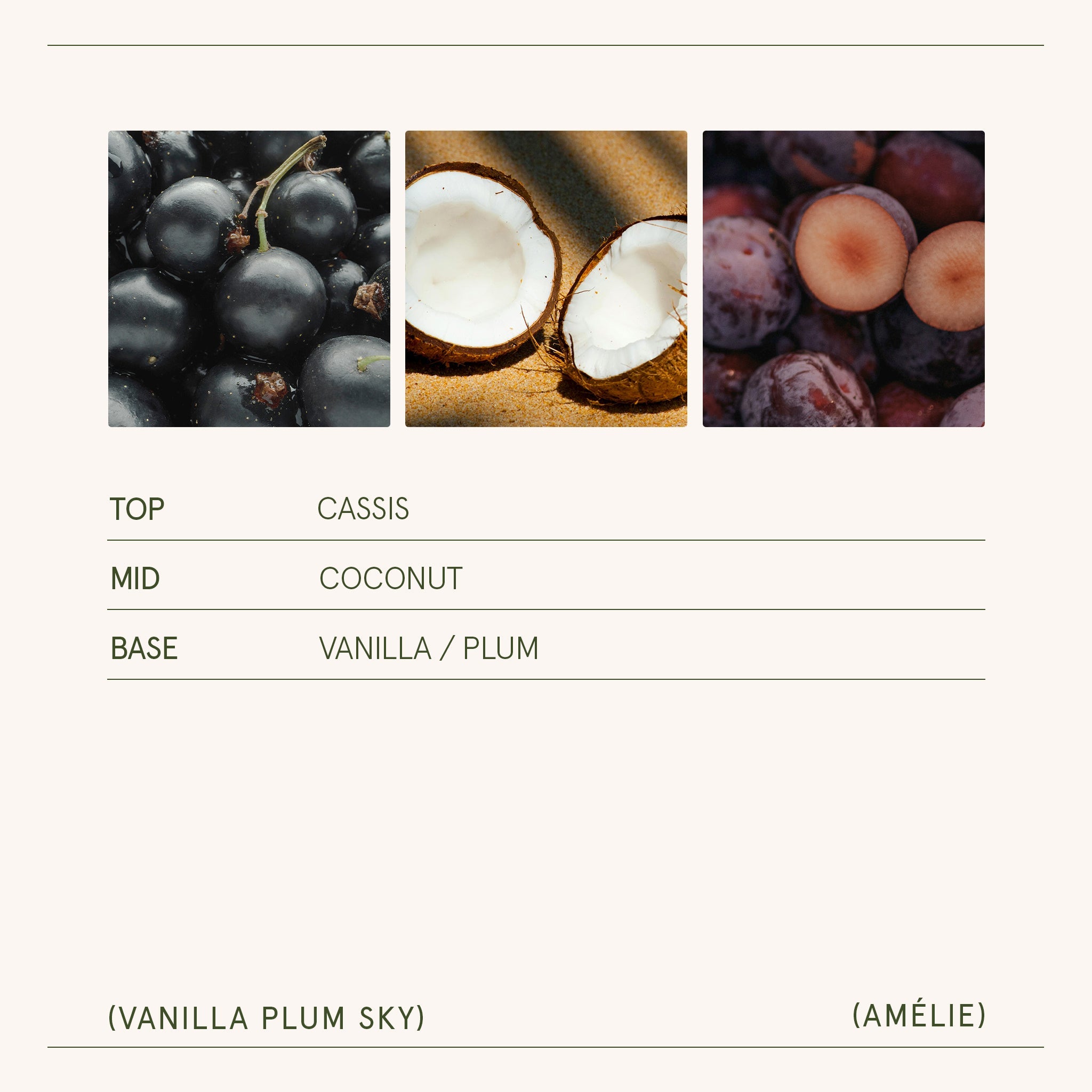 Amélie – Vanilla Plum Sky 11oz Candle