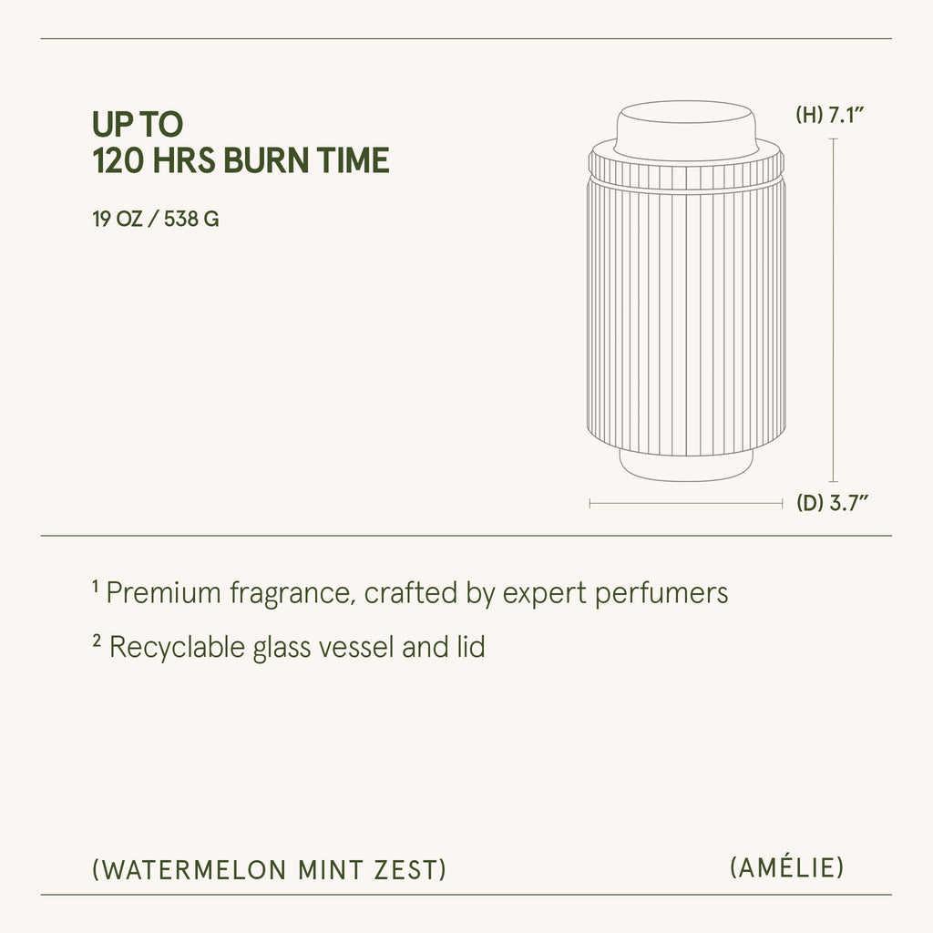 Amélie – Watermelon Mint Zest Candle