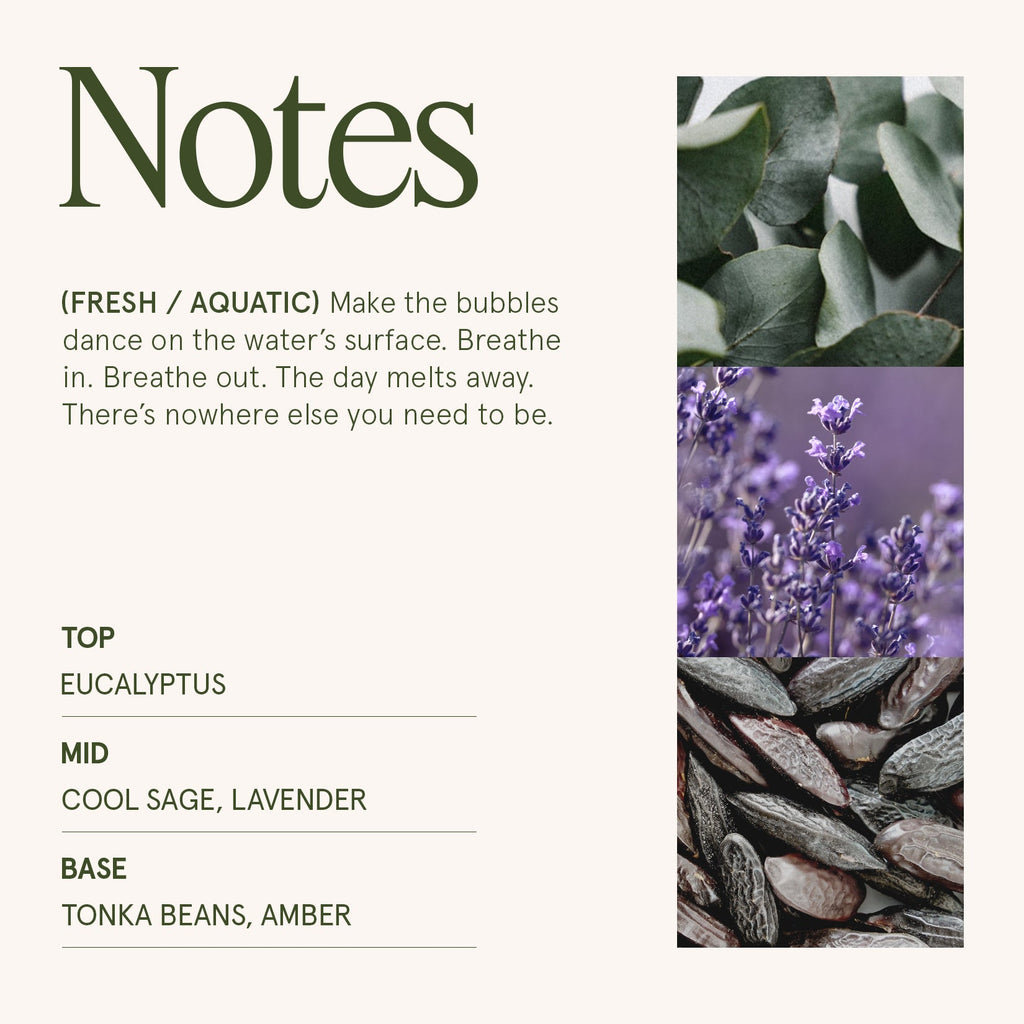 Maelyn - Eucalyptus & Alpine Sage 19oz Candle